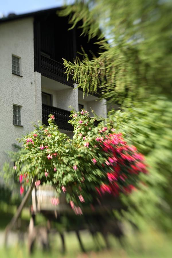 Landhaus Am Forst - Apartments Бад Александерсбад Екстериор снимка